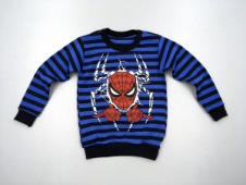 Свитшот для мальчика TRP3157