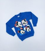 Утепленный свитшот для мальчика TRP5241